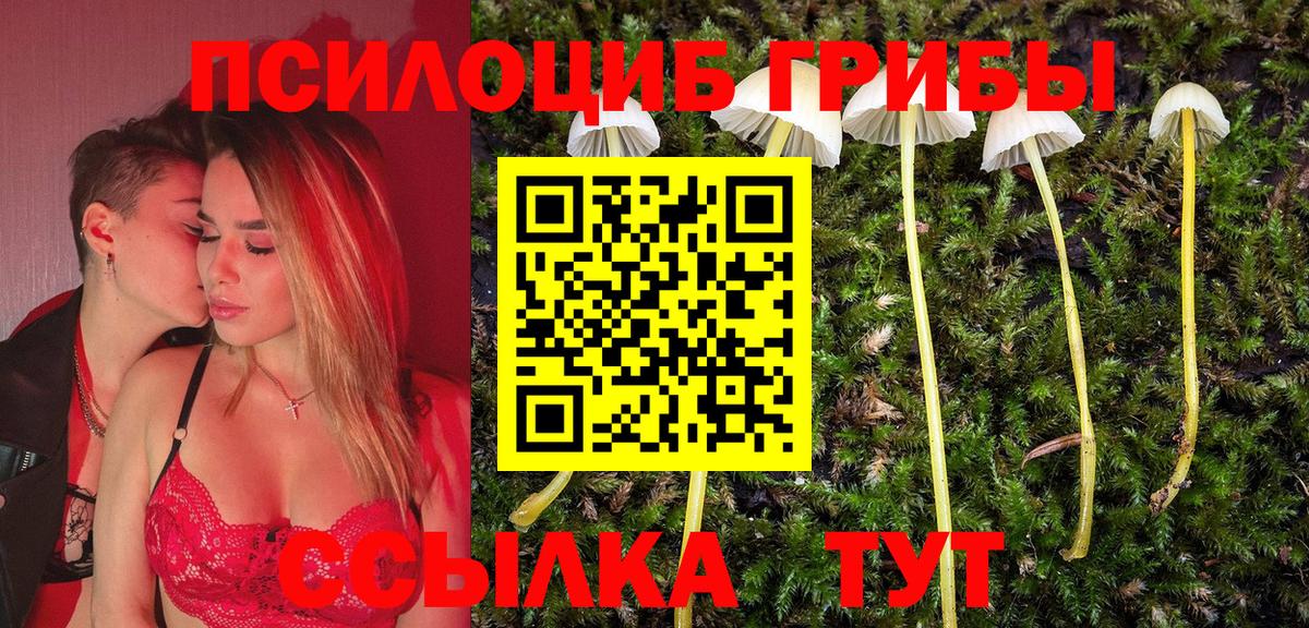 дарнет шоп  Галлюциногенные грибы Psilocybe  Вход с VPN  Благовещенск 